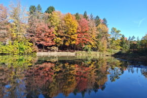 Fall reflection
